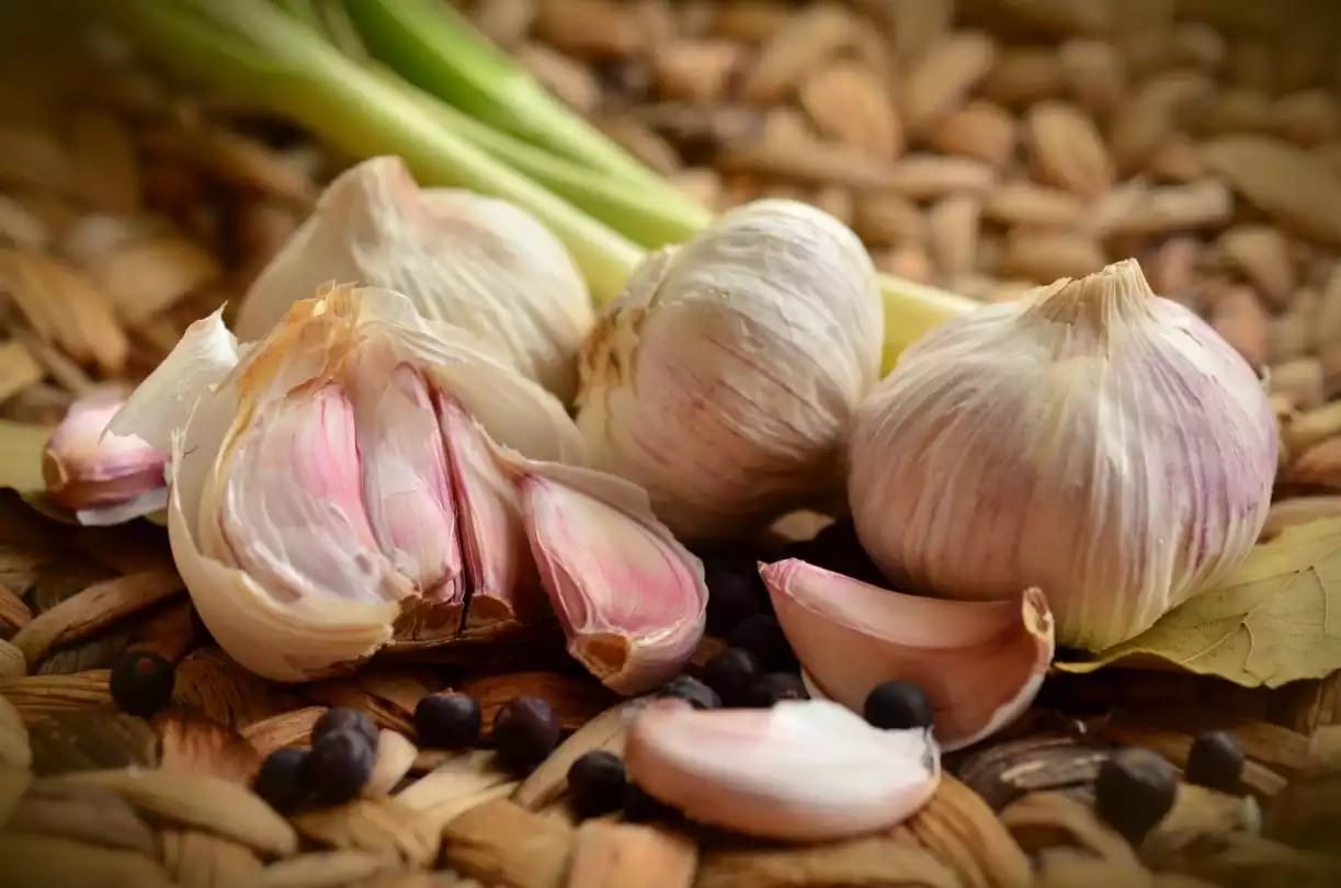 Bulbo de ajo con múltiples dientes de uso culinario