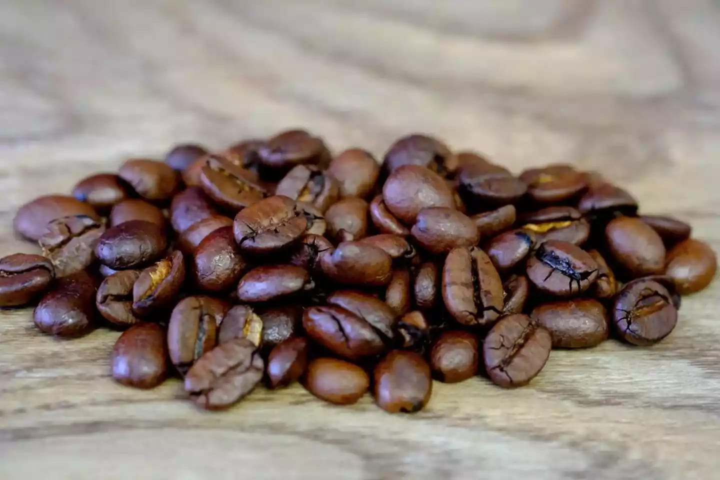 Árbol de café con semillas de gran valor agrícola