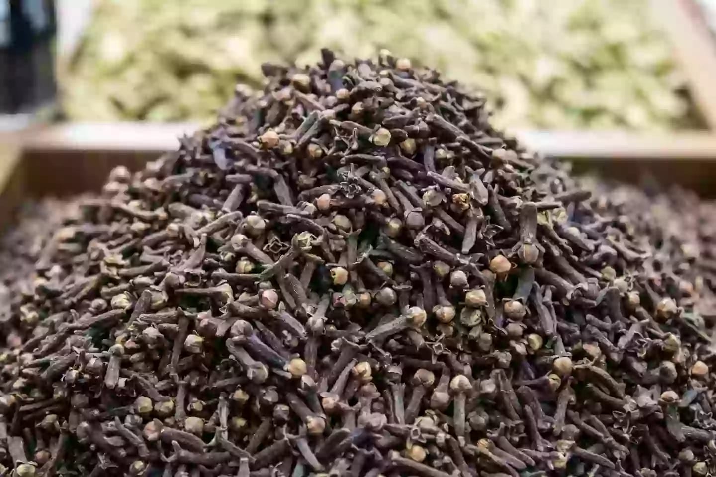 Flores cerradas del árbol de clavo para uso como especia