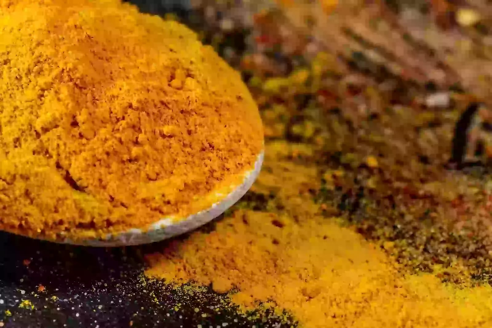 Raíz aromática de la planta perenne de cúrcuma para especia