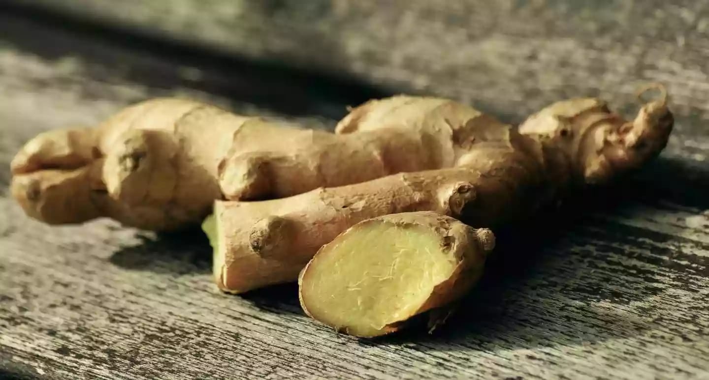 Planta de jengibre con tallo subterráneo apreciado en gastronomía
