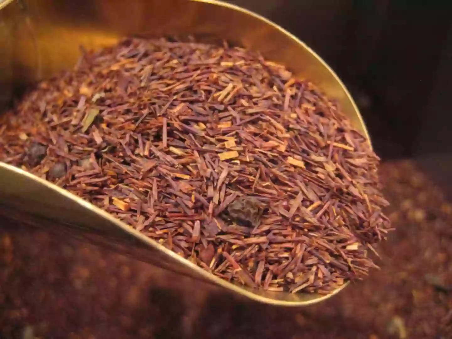 Planta de rooibos utilizada para la elaboración de infusiones aromáticas