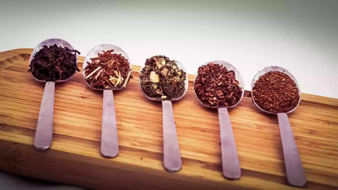 Planta perenne de té para la elaboración de diversas infusiones
