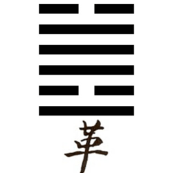 Hexagrama cuarenta y nueve del I Ching asociado a la revolución