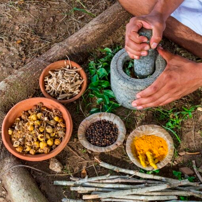 Introducción a los conceptos tradicionales y sabiduría milenaria de la medicina ayurveda