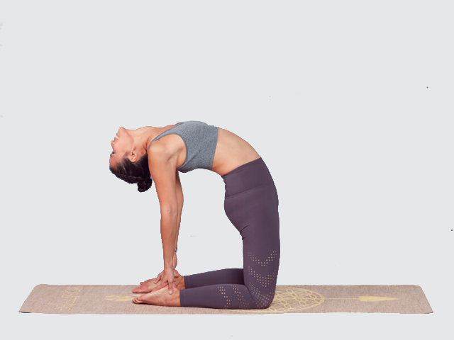 Postura de yoga Ustrasana o postura del camello con extensión del pecho