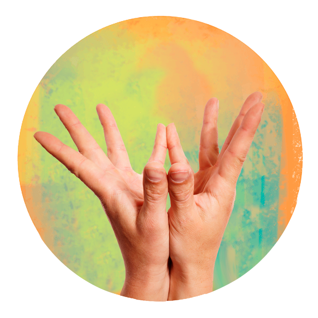 Gesto de manos de Padma Mudra o Mudra del Loto en meditación