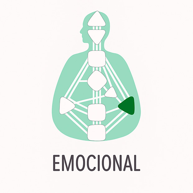 Autoridad emocional del centro del plexo solar en Diseño Humano